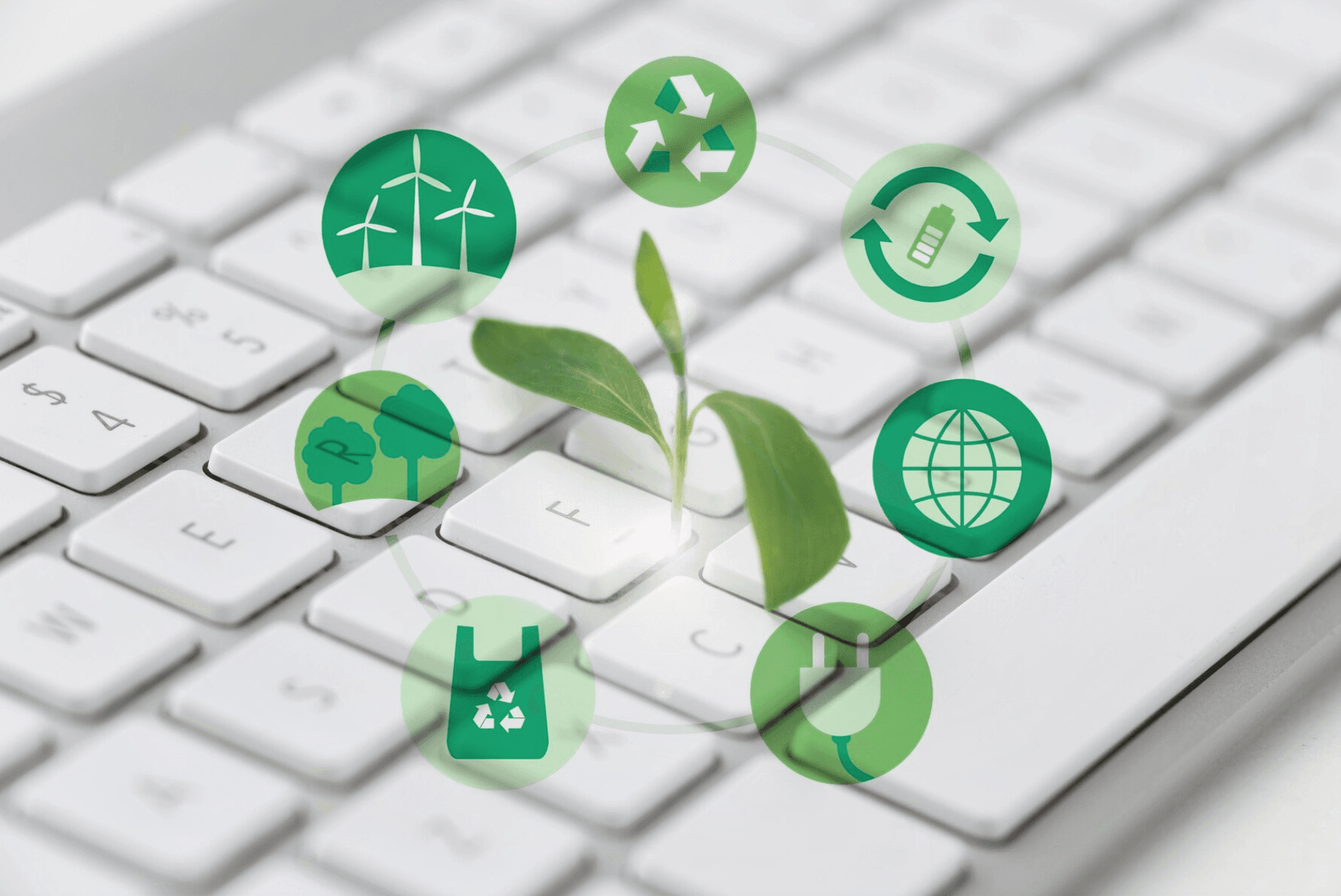 Sustainability and profitability: how automation can balance these two goals