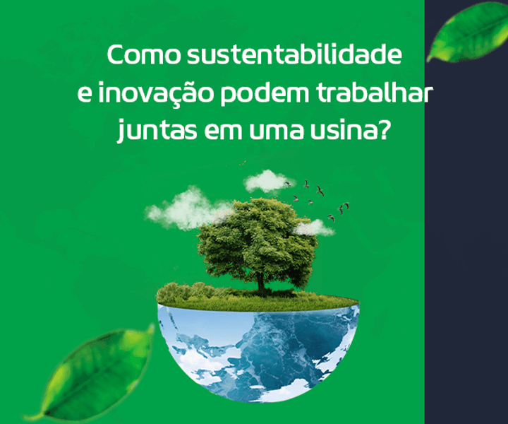 How can sustainability and innovation work together in a plant?